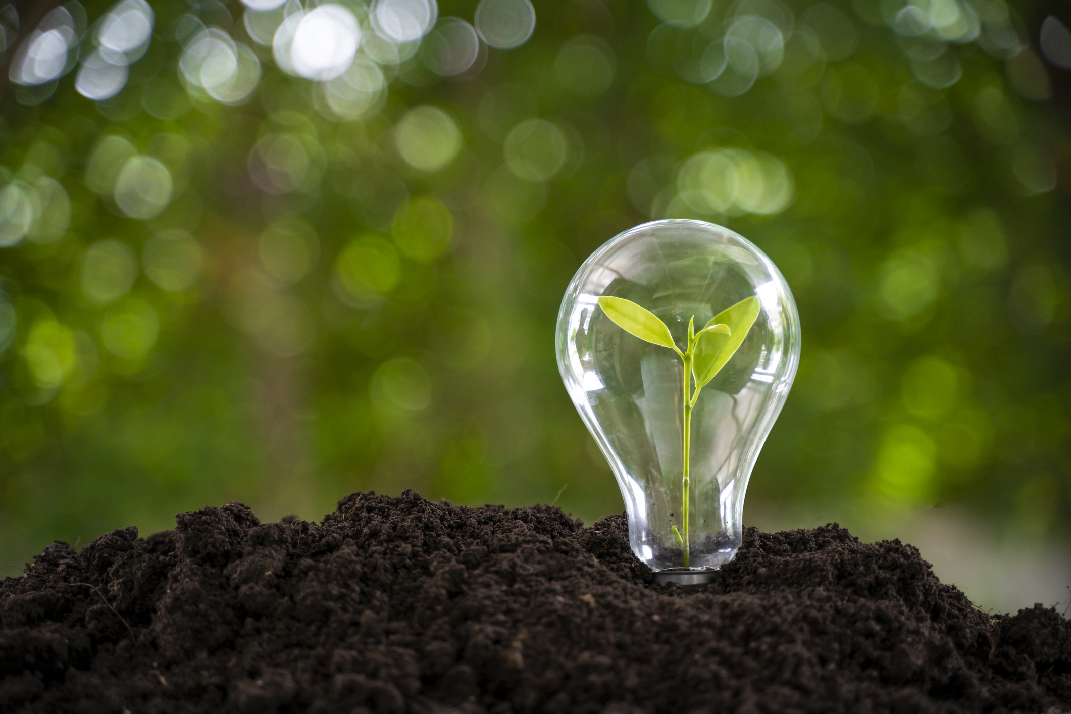 Every Day Can Be Earth Day